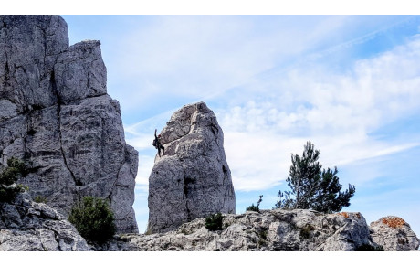 Retour Calanques