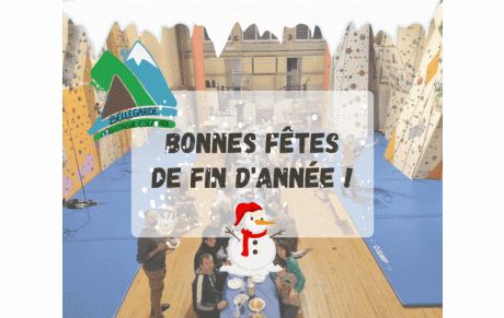 Bonnes fêtes !